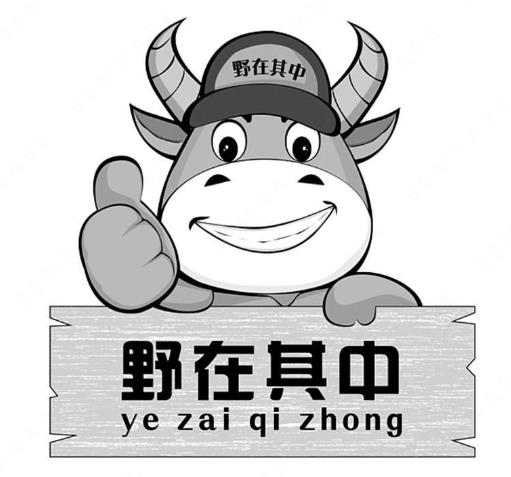 黑龙江省珍源山产品开发有限公司“野在其中YI ZAI QI ZHONG及图”商标注册案例分析