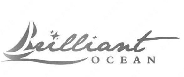 “Brilliant OCEAN”与“明亮MINGLIANG”商标注册案例分析